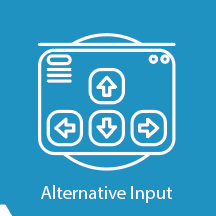 Alternative Input