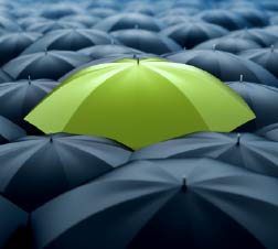 Green Umbrella Image